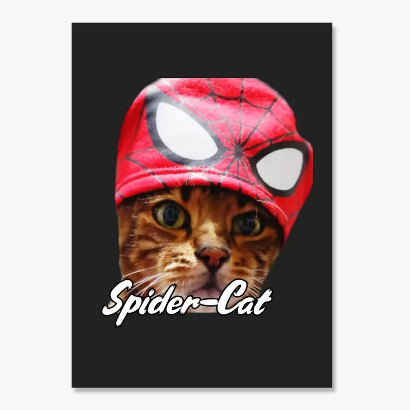 Spider Cat