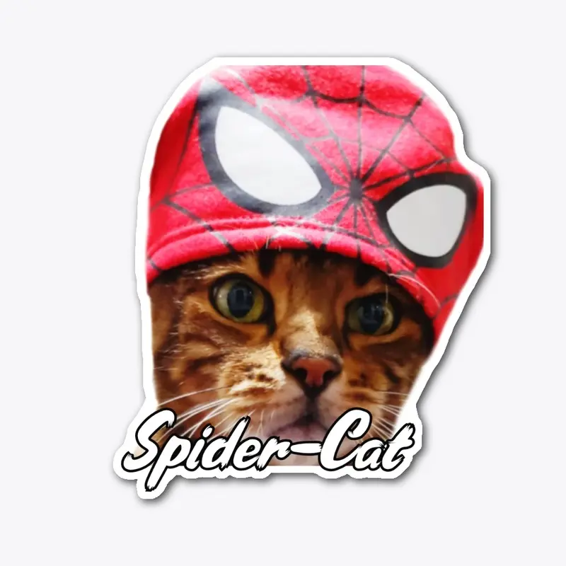 Spider Cat